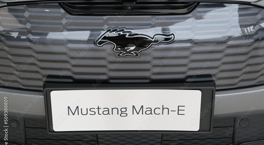 mustang